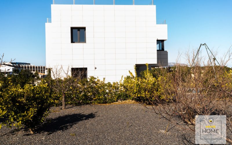 Фото 2 Дорадас