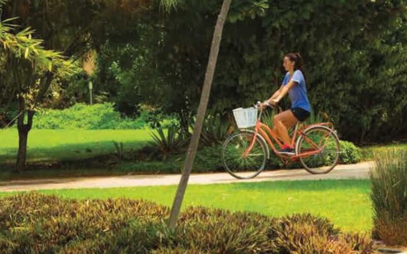 Фото местности 1