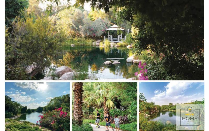 Фото местности-2