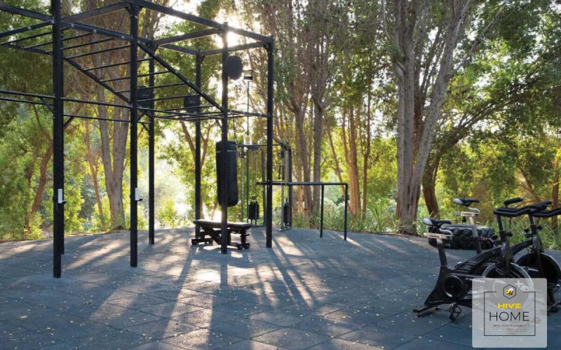 Фото местности 4