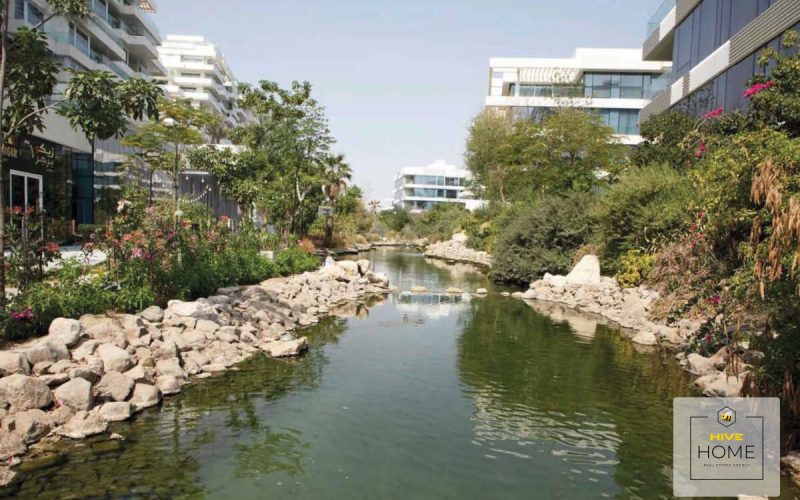 Фото местности 7